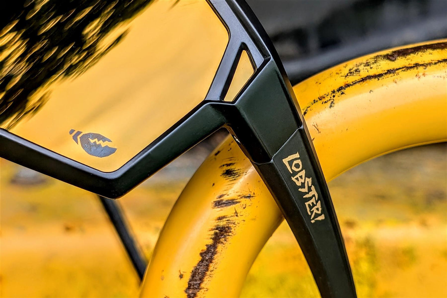 Full Lob™ - Gold - Lobster Eyewear